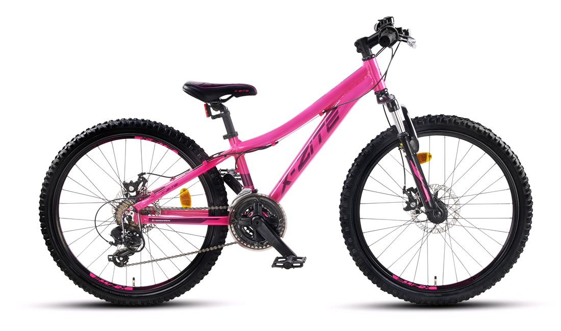 Mountainbike 2421 24