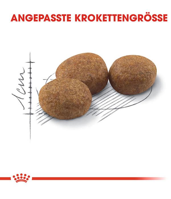 ROYAL CANIN® Trockenfutter für Katzen