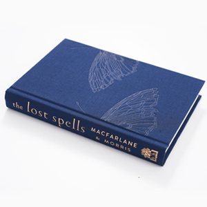 The Lost Spells (Hardback)