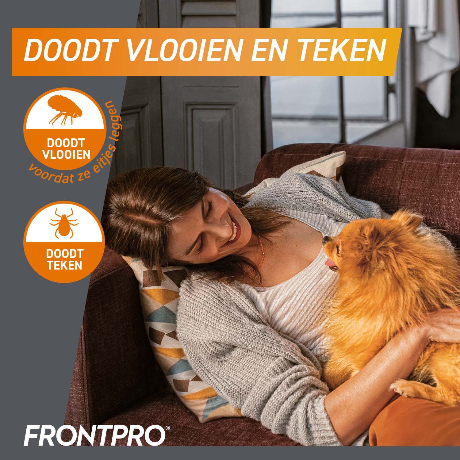 Frontpro Kauwtablet - Anti Vlooien en teken Hond - XL - 3 Stuks - XL