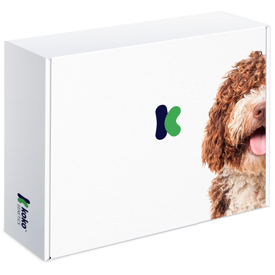 Teste de DNA para cães - Nível Inicial