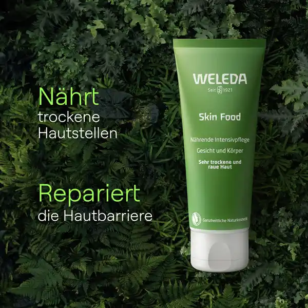 Skin Food Hautcreme