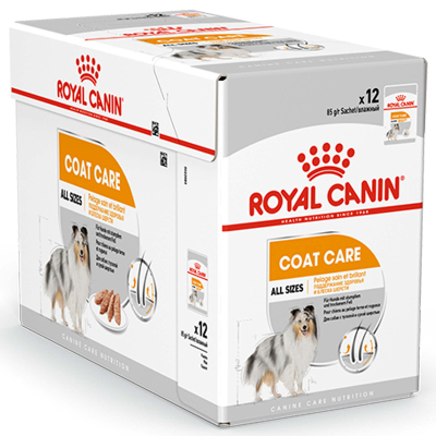 Royal Canin Hund Adult Coat Care Nassfutter für glänzendes Fell 12x85g