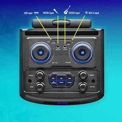 NGS WILD DUB 1 - enceinte de soirée - sans fil - avec batterie intégrée - noir