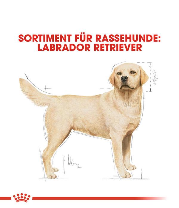 ROYAL CANIN® Trockenfutter für Hunde