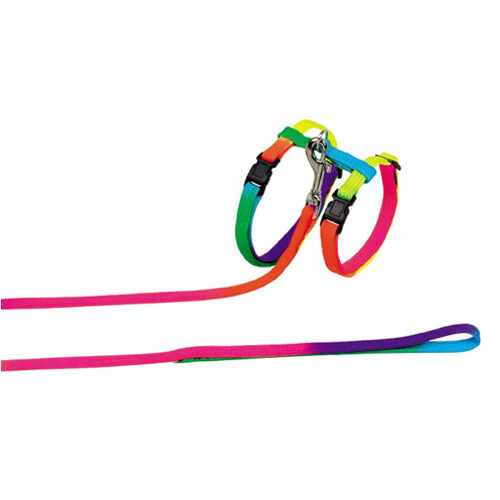 Nobby Katten Tuigje met Riem