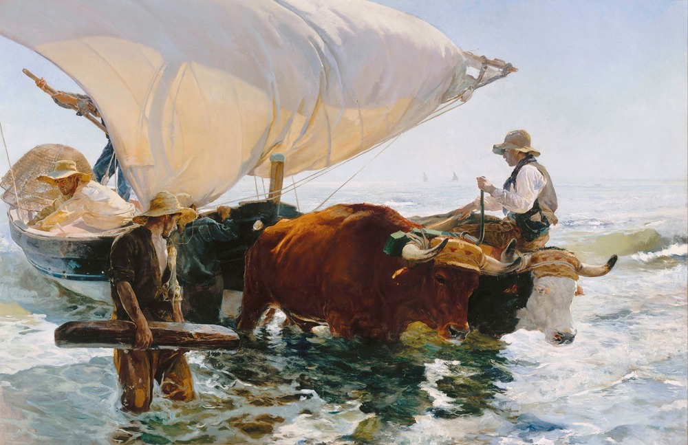 Retour de pêche de sorolla
