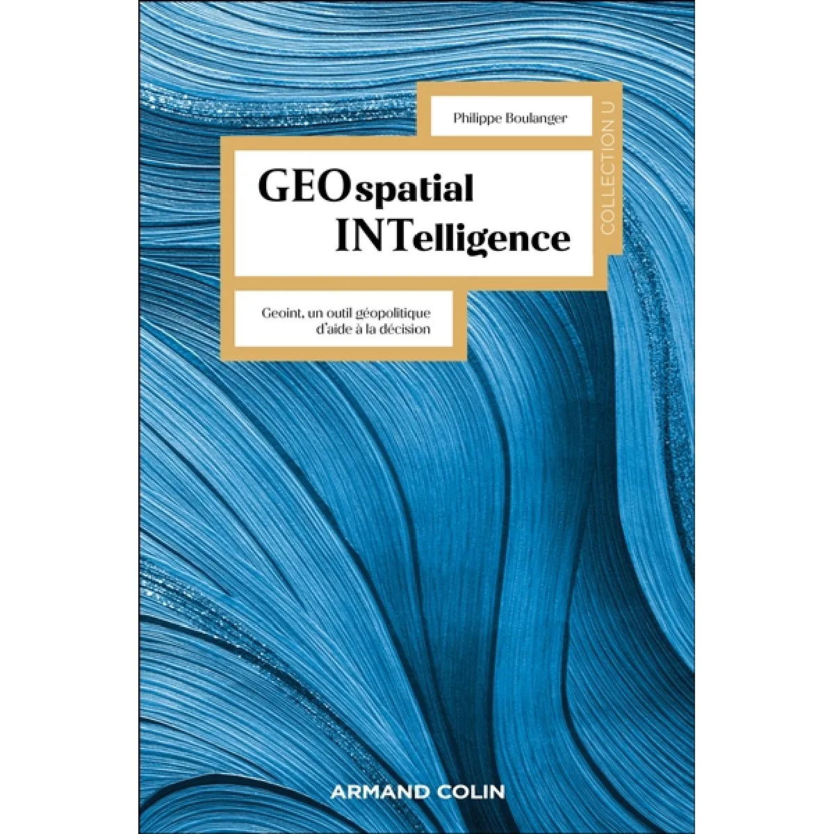 Geospatial intelligence : Geoint, un outil géopolitique d'aide à la décision