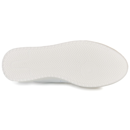 Serafini - ROGER 2 - Blanc / Marron
