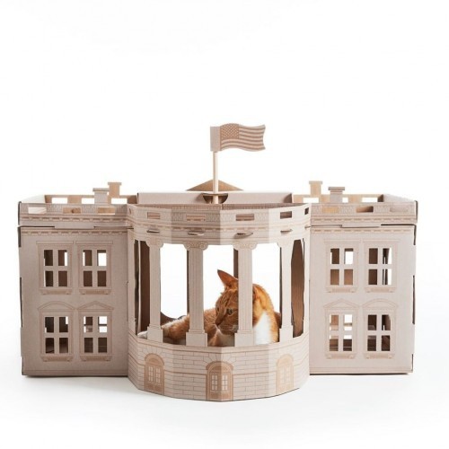Pontos turísticos Casa Branca Gato Cocô Marrom/Branco