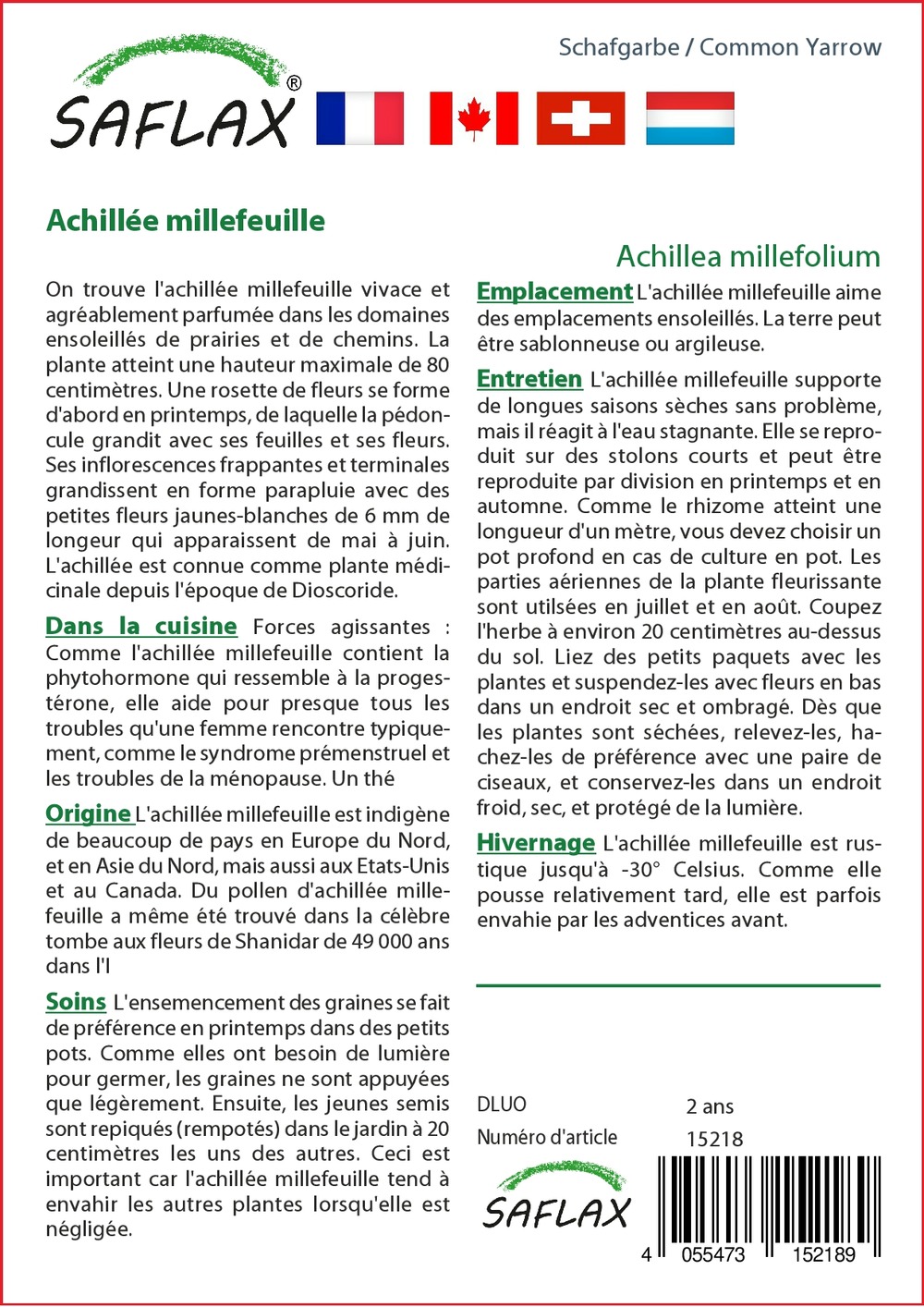 Achillée millefeuille - 200 graines - avec substrat - achillea millefolium
