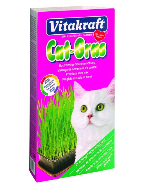 Vitakraft Cat Gras - Kattensnack - Natuur 120 g