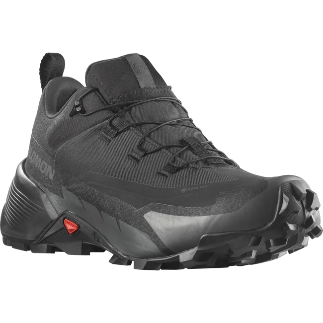 CROSS HIKE 2 GORE-TEX  Hiking-Halbschuhe Herren
