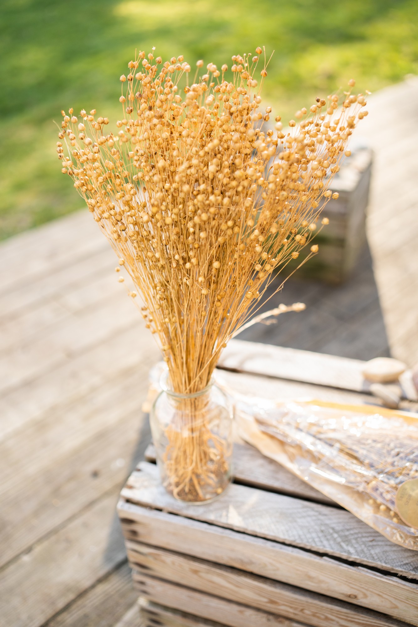 Trockenblumen-Bouquet 'Flachs', H 60 cm von fischer's lagerhaus