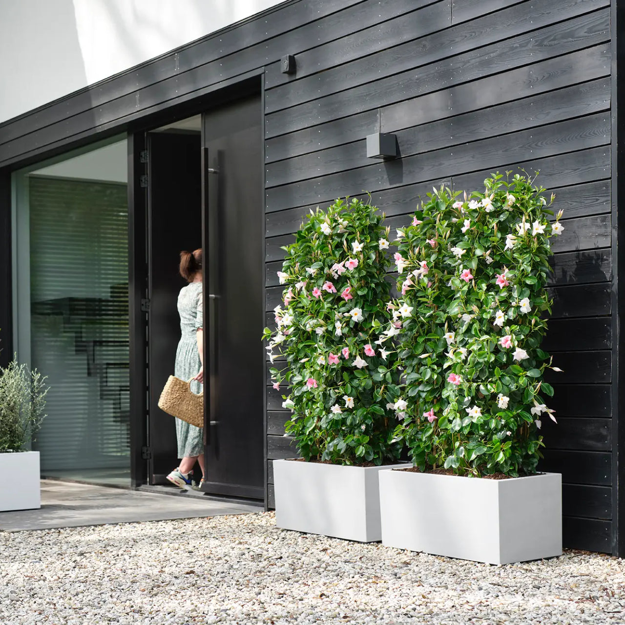 elho Vivo Next Plantenbak B 60 cm - Wit
