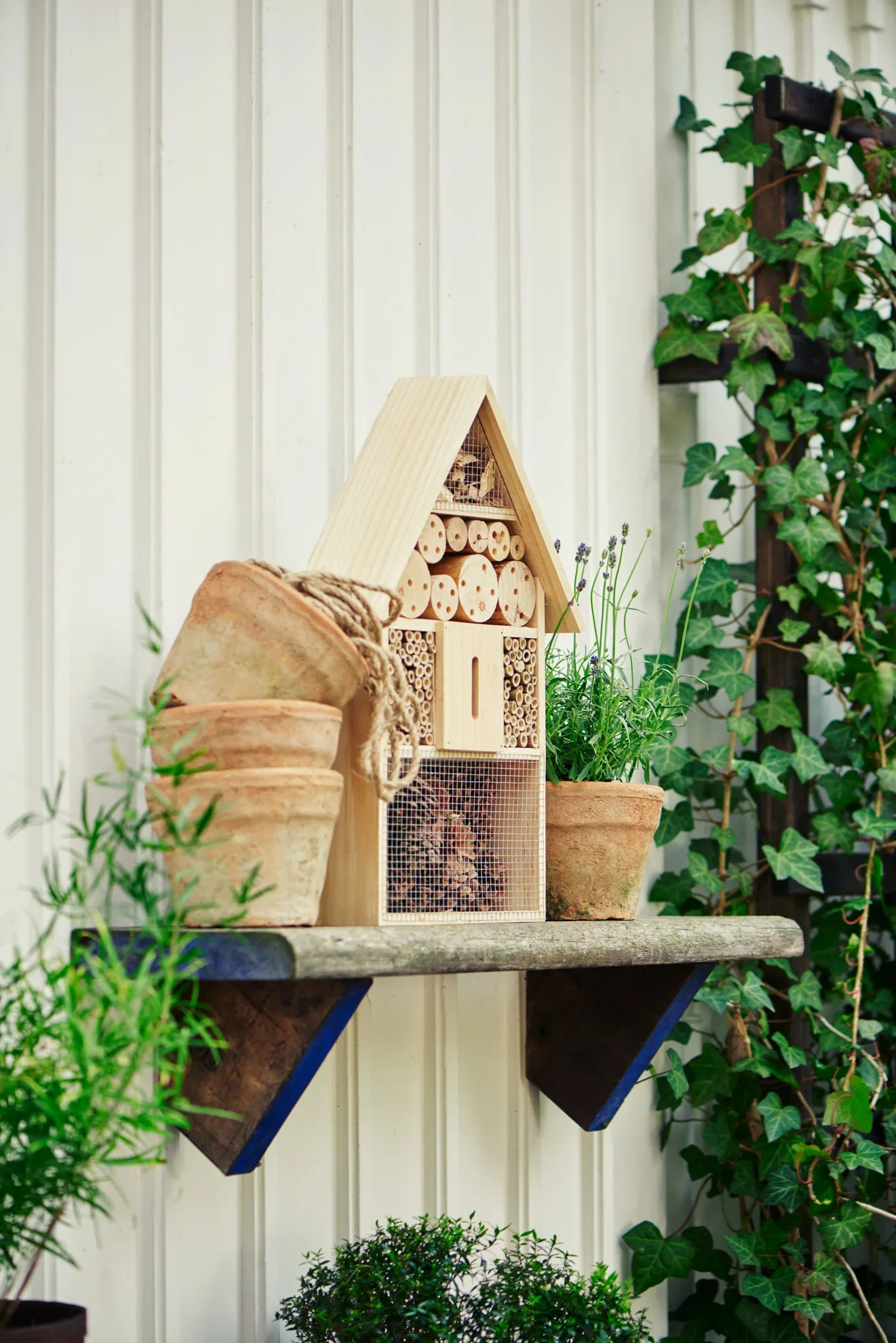 Plantagen Insekthotell