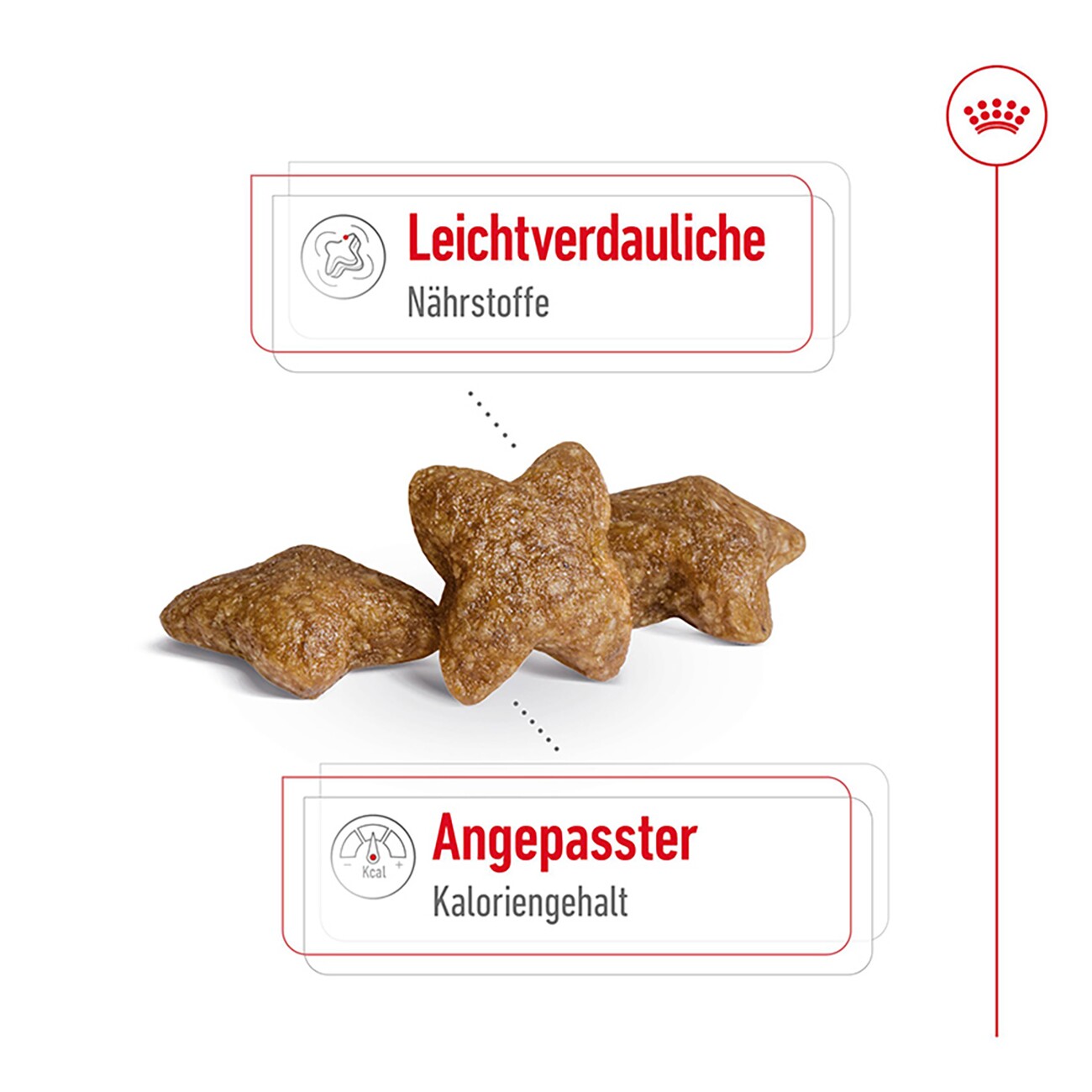 ROYAL CANIN Mini Adult 2 kg