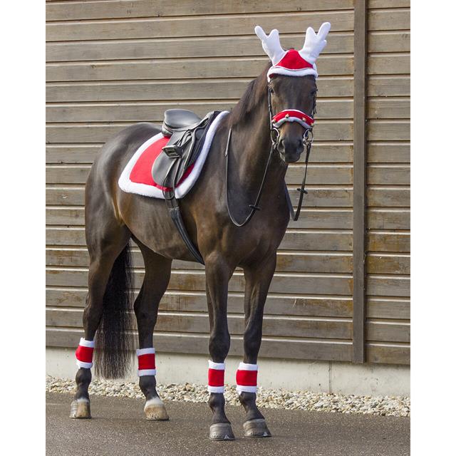 Zadeldek QHP Kerst Dressuur Rood
