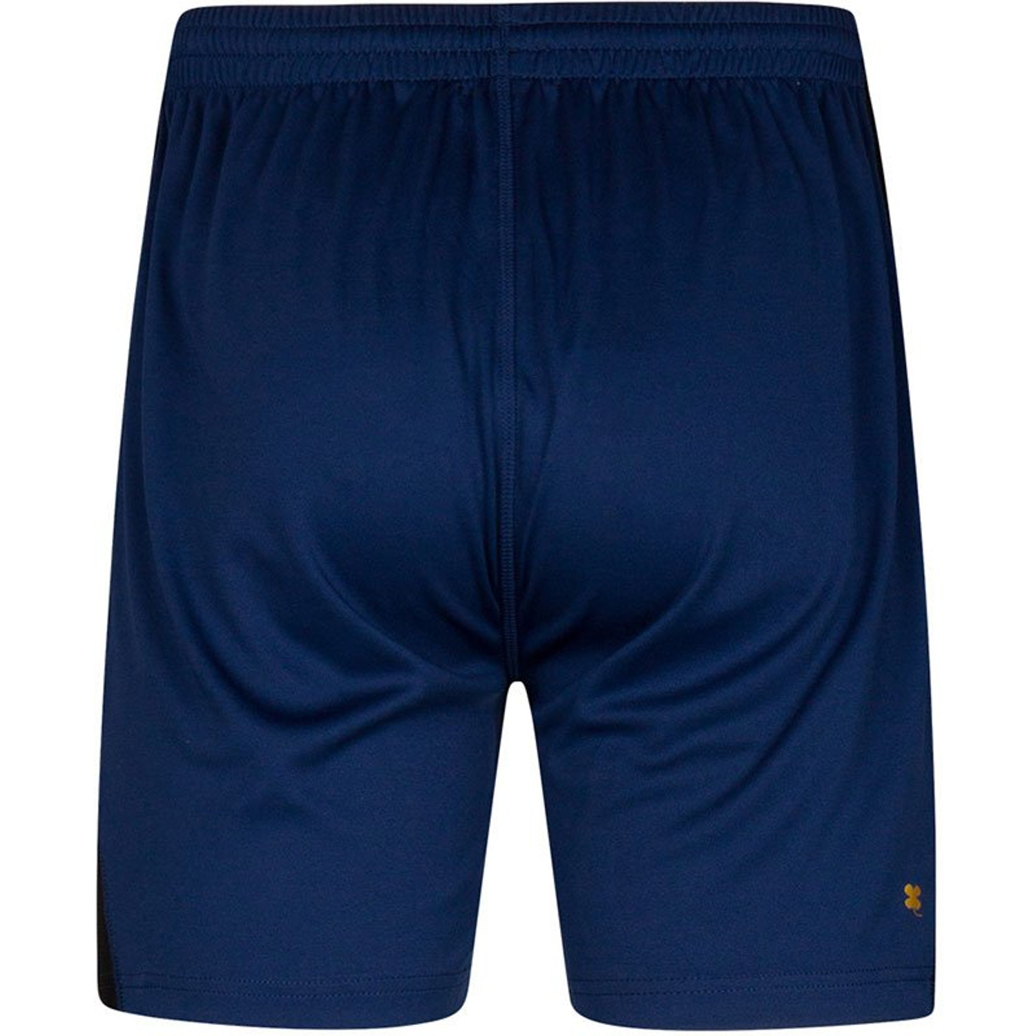 Robey Performance Training Short