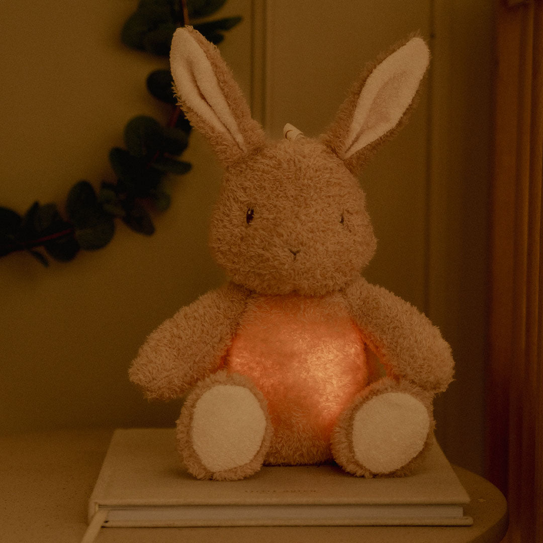 little dutch knuffelkonijn met licht en geluid