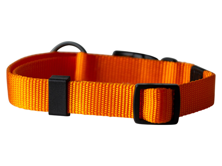 Halsband met lijn