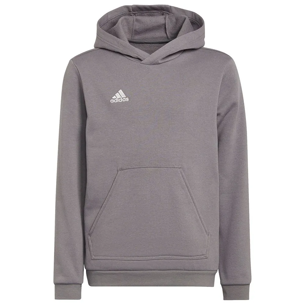 Moletom adidas Entrada 22