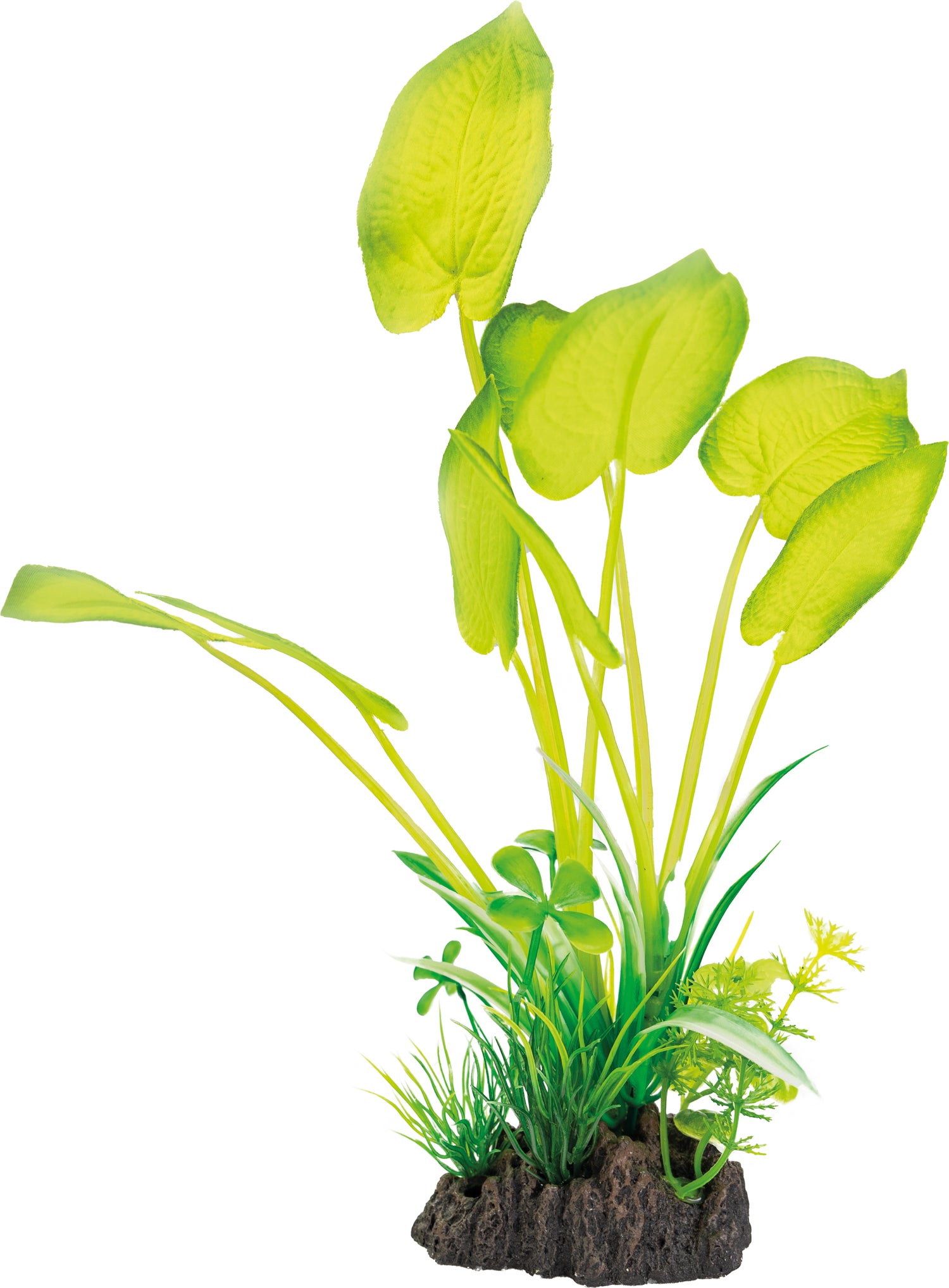 SuperFish aquarium decoratie kunstplant Echinodorus groen 6 x 10 x 25 cm