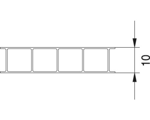Gutta polycarbonaat meerwandige plaat/wandplaat 10.7-10 helder 2000 mm x 1050 mm x 10 mm