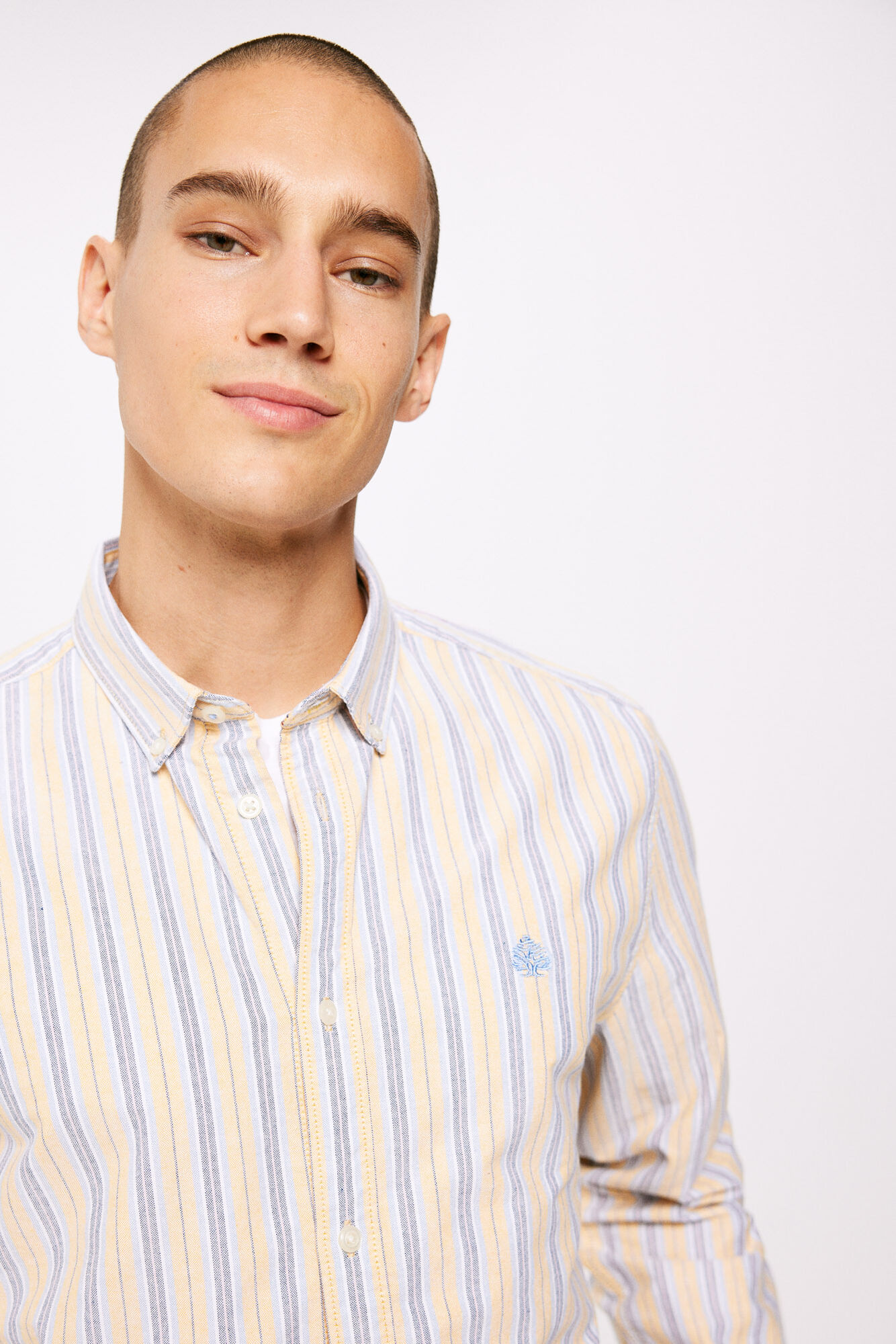 camisa polo oxford listrada