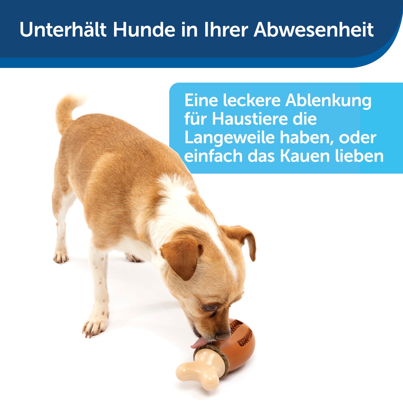 PetSafe Kauspielzeug mit Leckerli-Ringen für Hunde Hühnchen braun/ beige S-M