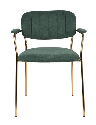 Esszimmerstuhl ARMJOLIEN 2er Set dunkelgrün