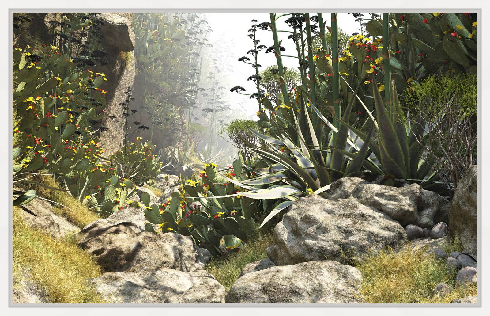 Barranco del Fuente 57 by Gerhard Mantz - Limited Edition. Edition of: 100. Signed.