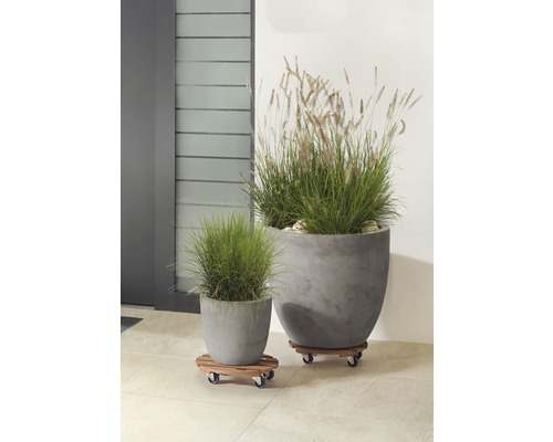 Plantenwagen WPC Ø 29 cm max. draagvermogen 100 kg bruin