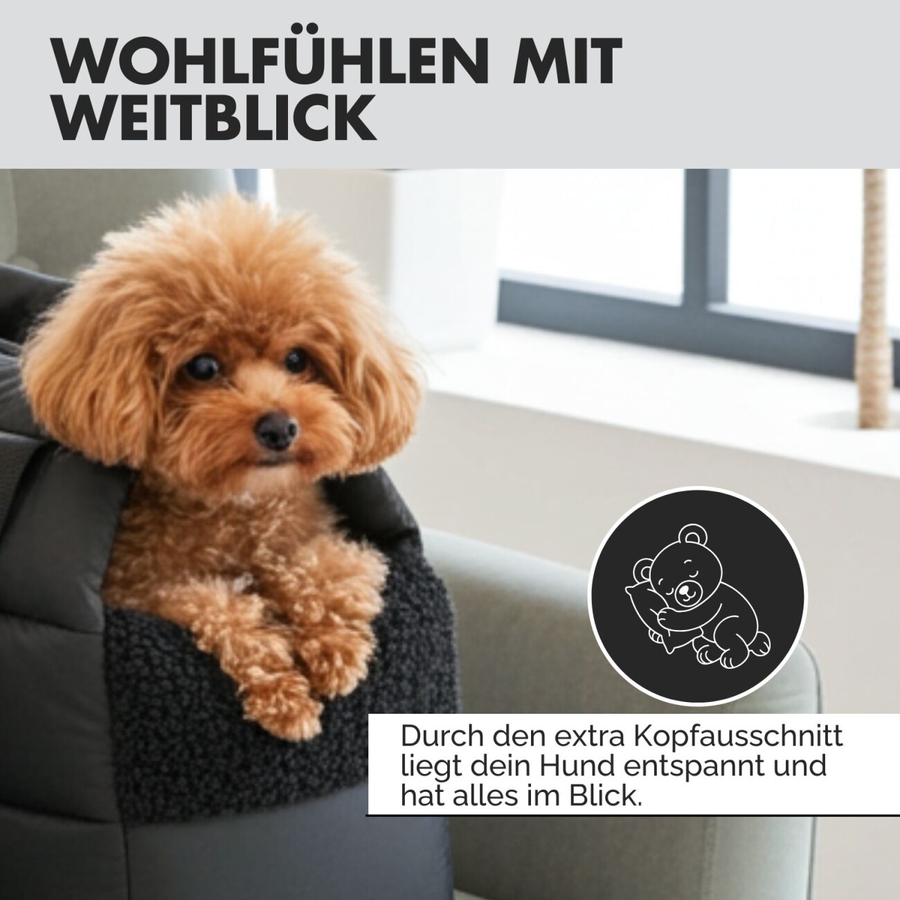 PAW WOW Hunde-Tragetasche SARA schwarz