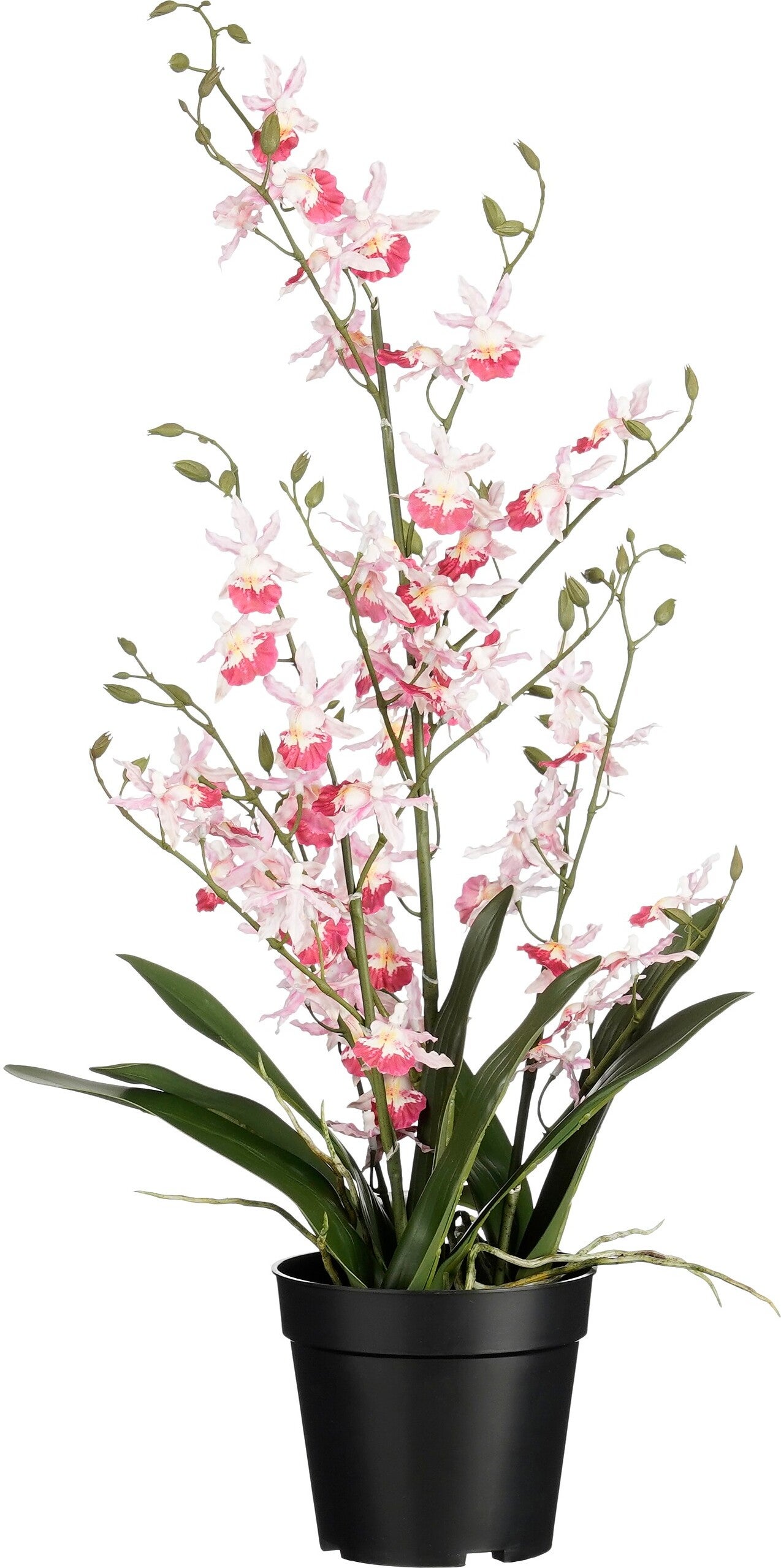 Mica Decorations kunstplant Tijgerorchidee roze D 36 H 76 cm