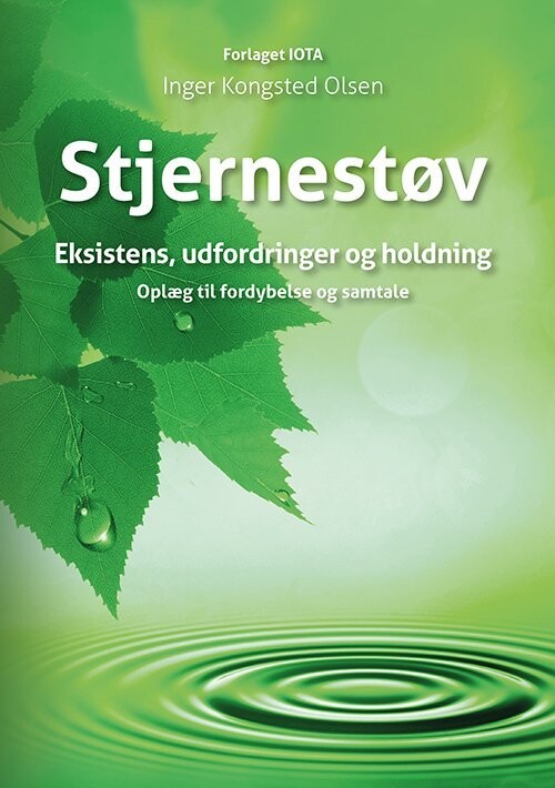 Stjernestøv - Inger Kongsted Olsen - Bog