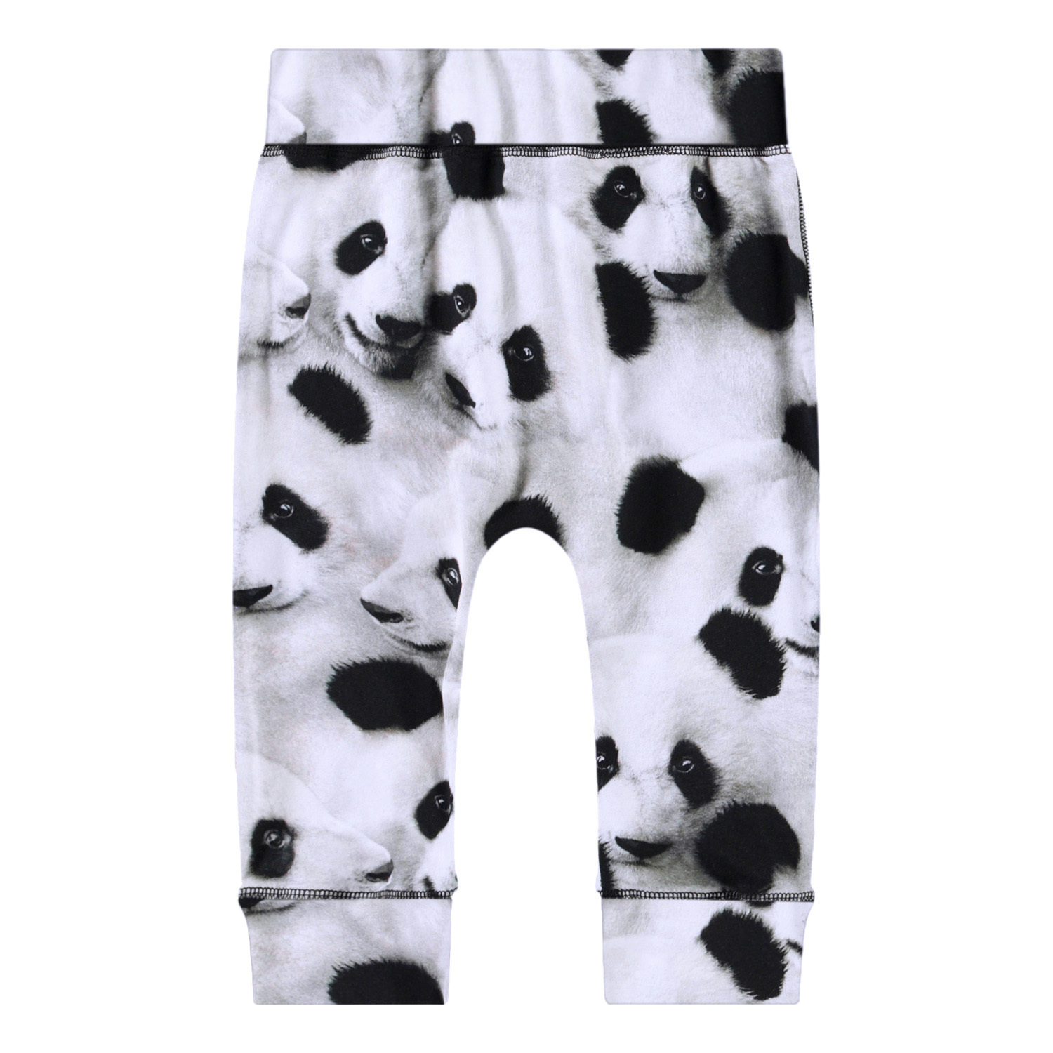 Sammy - Giant Panda