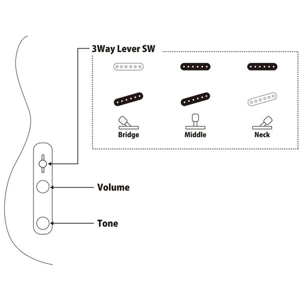 FGN Neo Classic TE100 LH VNT