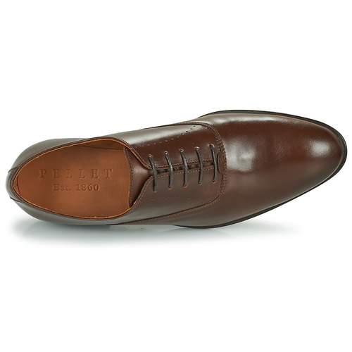 Pellet - ACHILLE - Veau marron