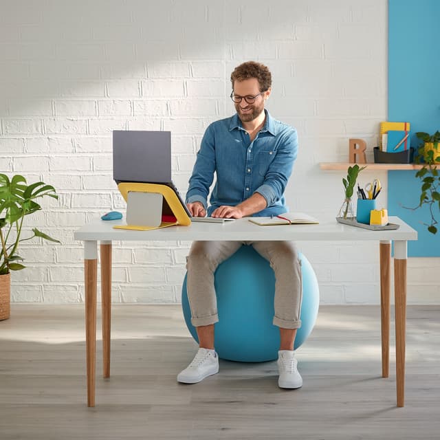 Leitz Ergo Cosy Active balancebold