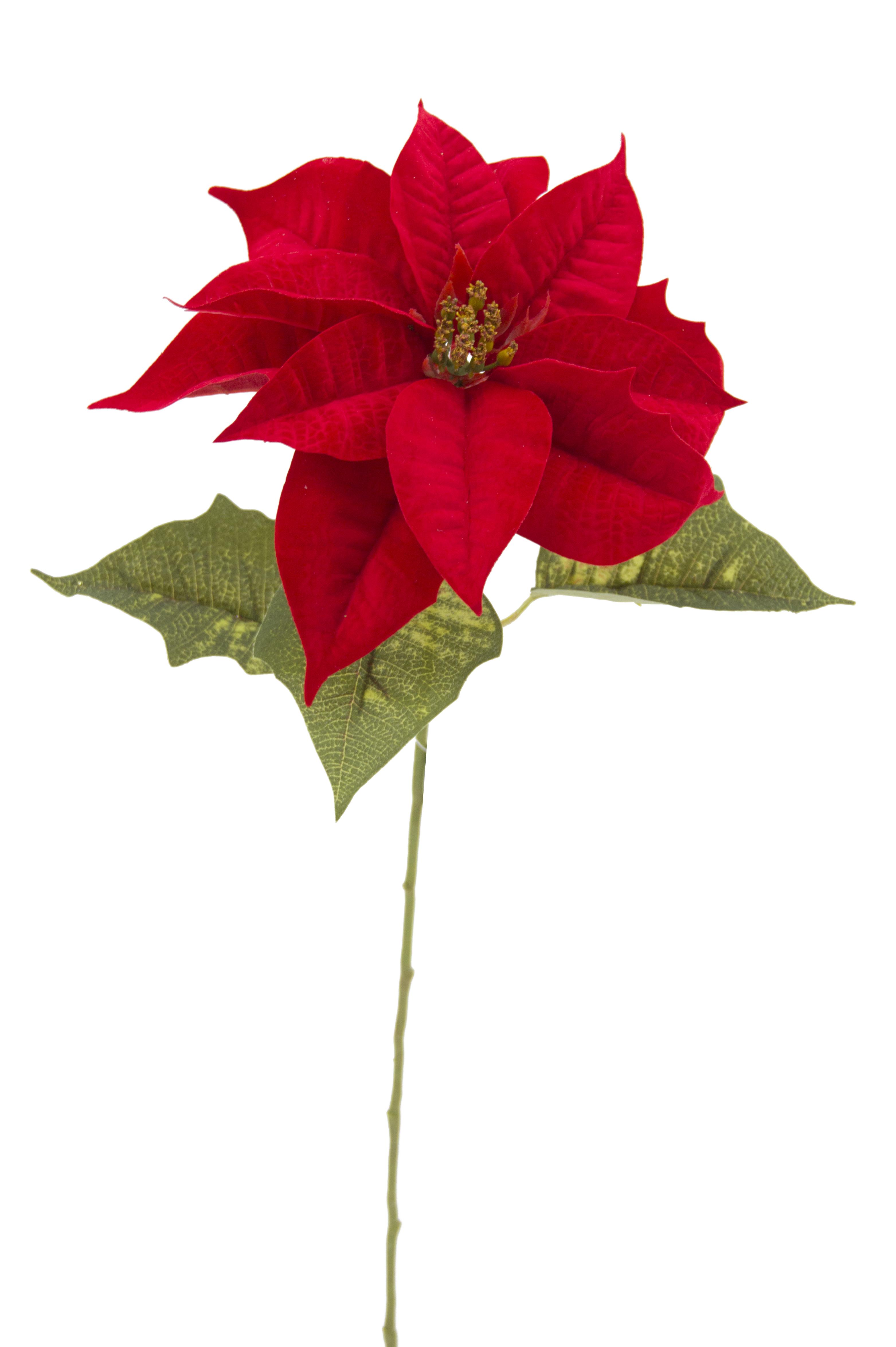TIGE POINSETTIA VELOURS H.78CM ROUGE