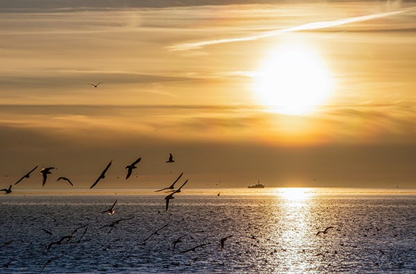 Mondscheinsegeln in Lübeck-Travemünde
