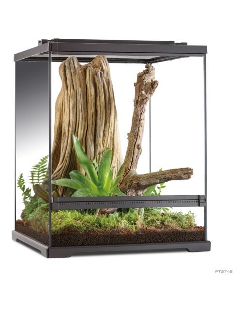 Exo Terra Frog Boomkikker Terrarium - Terraria - 45x45x60 cm