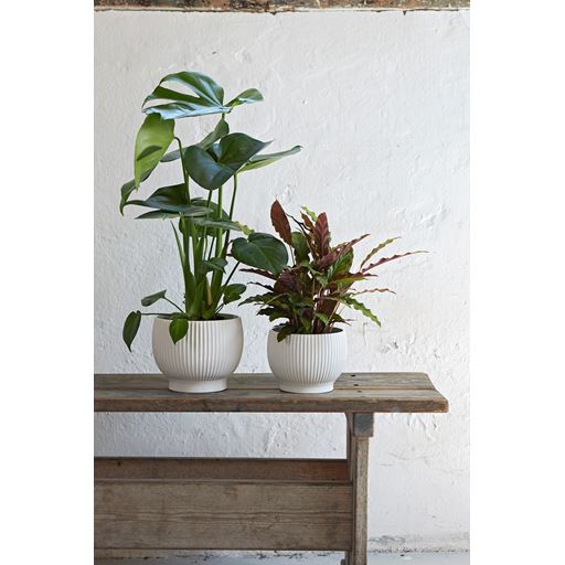Knabstrup Rillet Urtepotteskjuler, Hvid, 16,5 cm