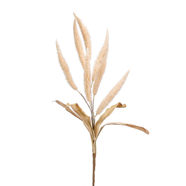 Blokker Kunstbloem Pampas - 67 cm - Crème