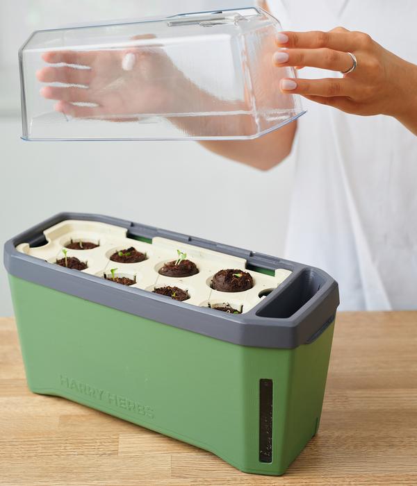 Gusta Garden Kräutertopf Harry Herbs mit