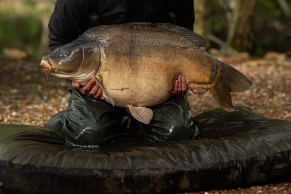 Tapis de Réception Korda Compac Hybrid Mat Dark Kamo