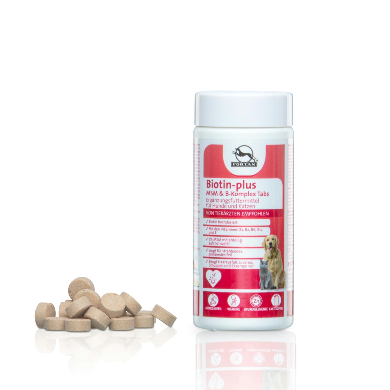 Fortan Biotin-plus MSM & B-Komplex Tabs 100 g