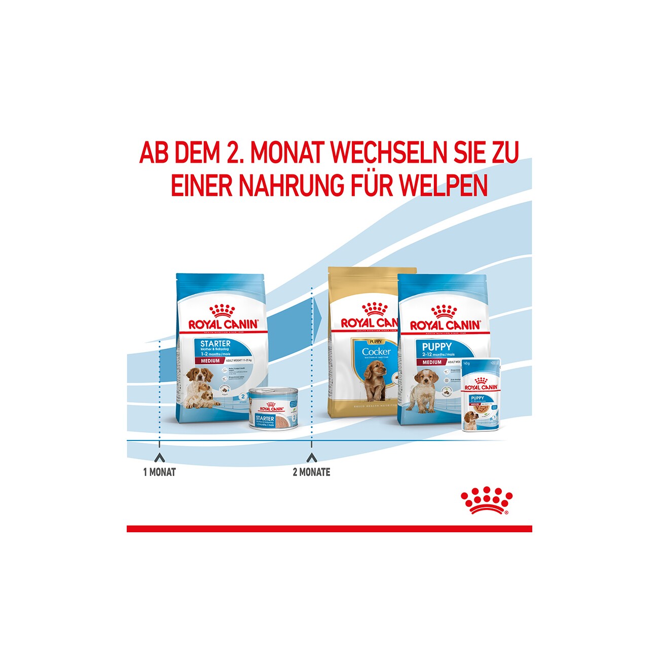 ROYAL CANIN Medium Starter 15 kg