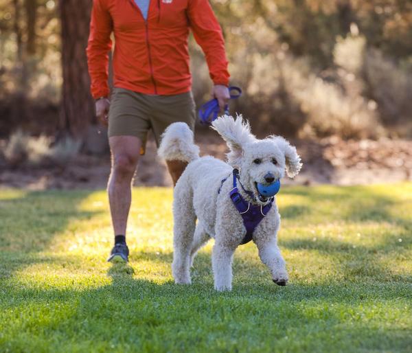 RUFFWEAR® Gummi-Wurfspielzeug Huckama™
